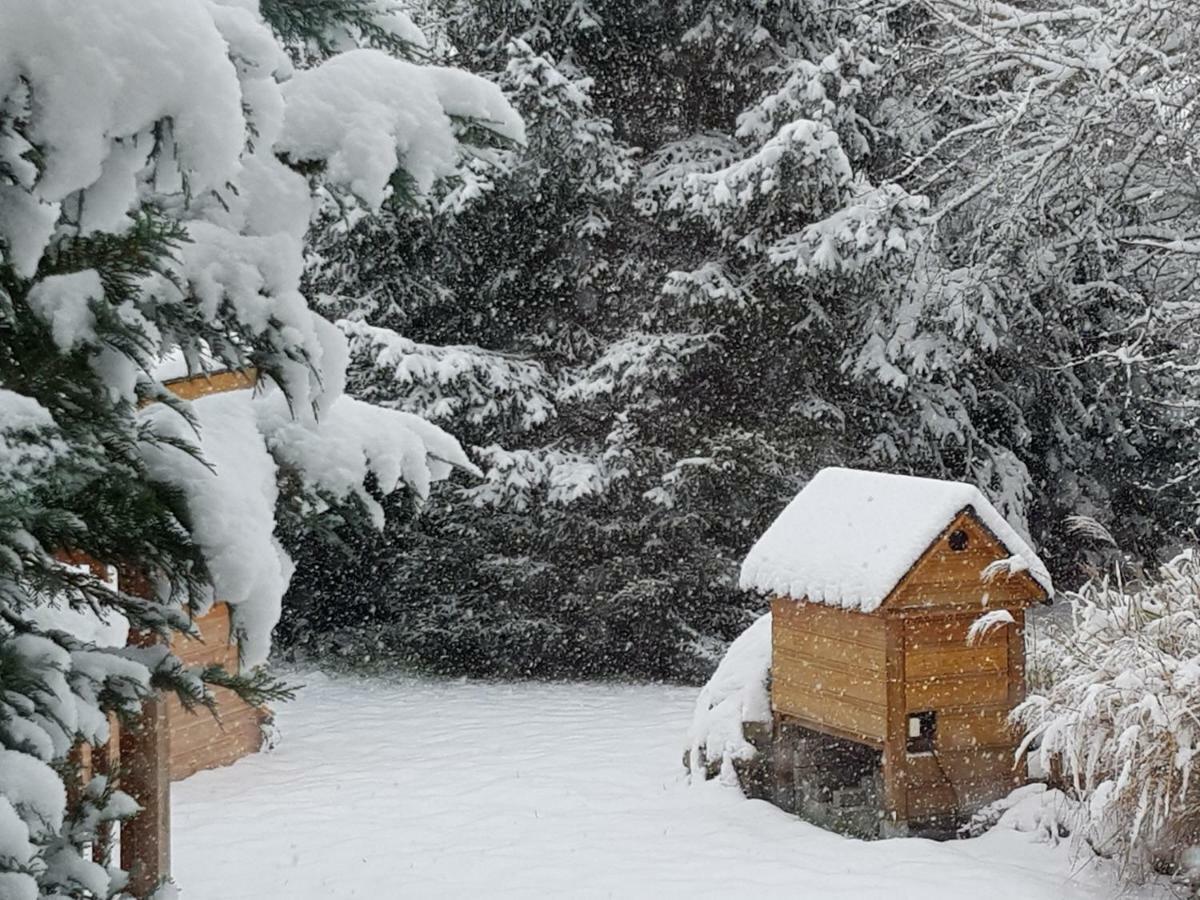 شقة Harzer Auszeit Hattorf am Harz المظهر الخارجي الصورة